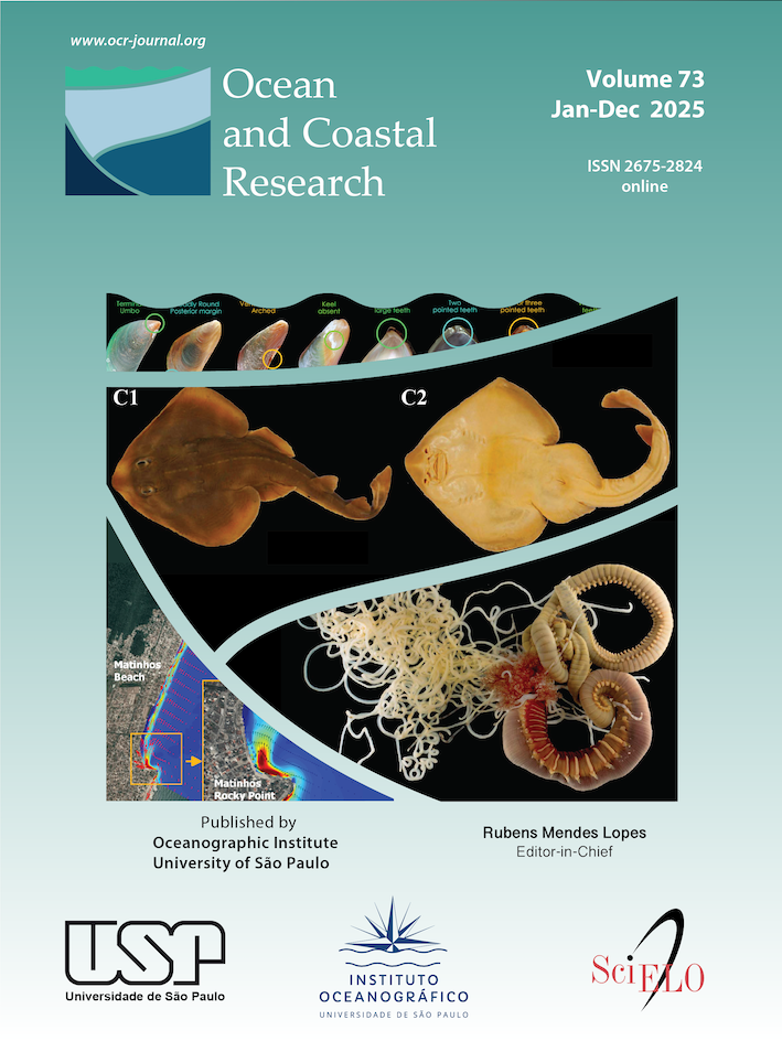 Capa OCR 2024